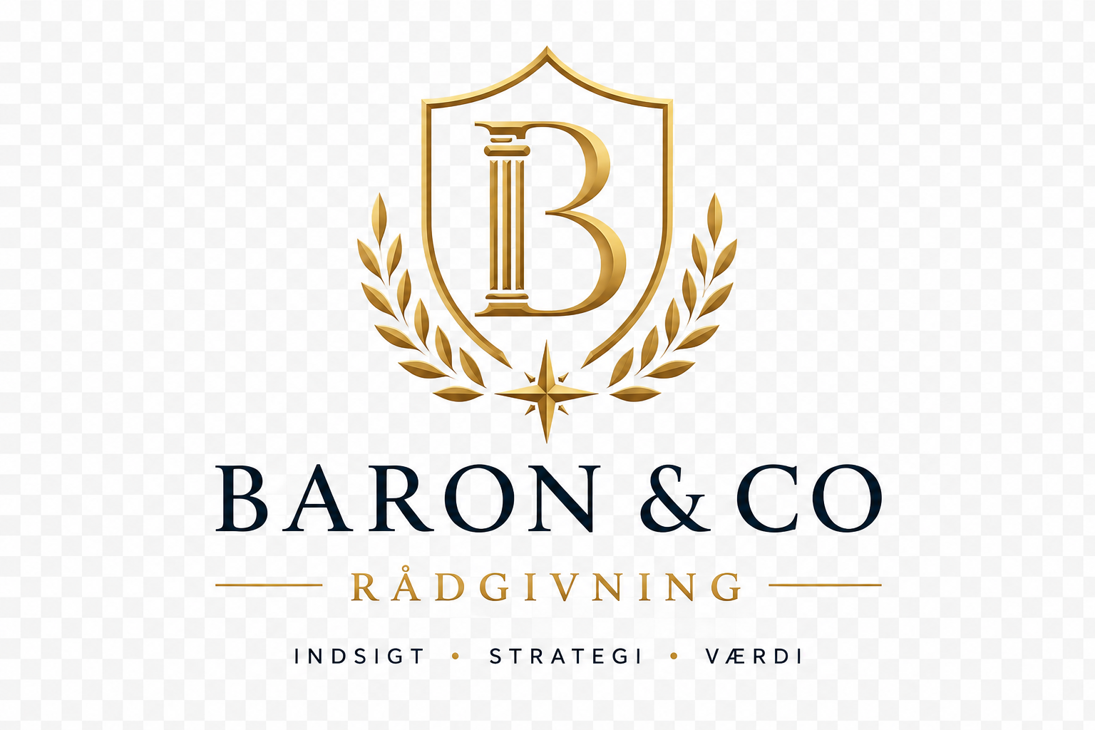 Baron & Co Rådgivning